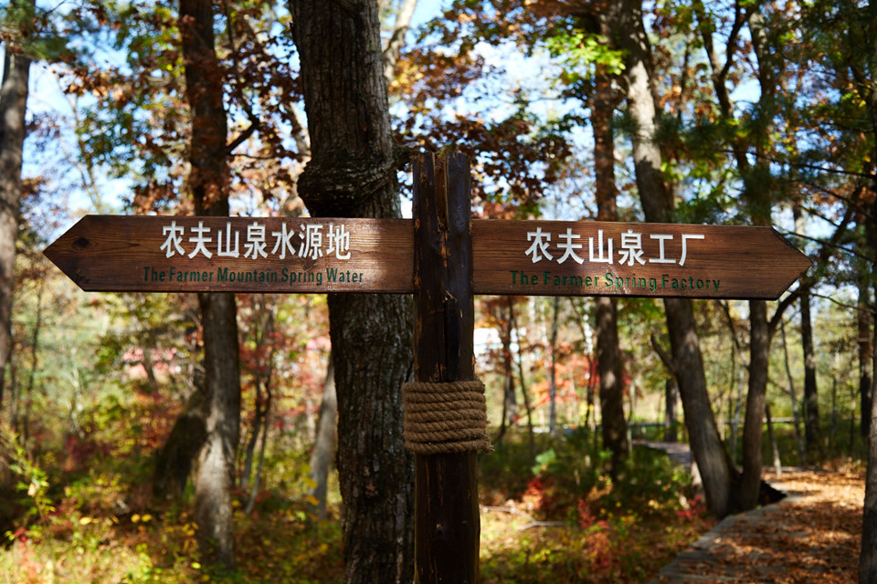 农夫山泉长白山水源地一景